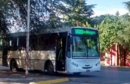 Paro en Ramallo: Sin colectivos, clases ni oficinas públicas