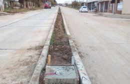 CLYFER avanza en la instalación de las nuevas luminarias de Avenida Alessandro