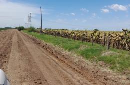 Tareas de mantenimiento en los caminos rurales