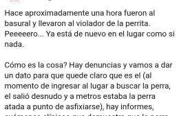 Denuncian que un hombre violó a una perra