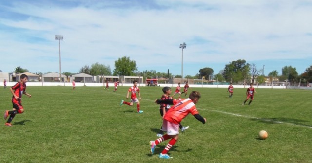 Divisiones juveniles: Resultados y goleadores cumplida la  tercera fecha