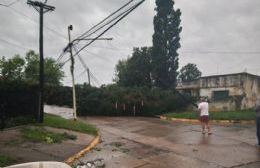 El último temporal causó serios destrozos en Pergamino