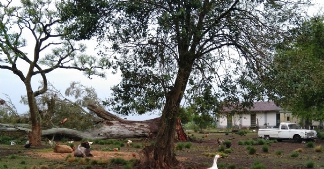 Carabelas sufre las consecuencias de la fuerte tormenta