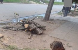 Barrio Libertador: Mientras unas familias carecen de agua, otras la tiran