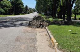 Inédito descuido en la Pista de la Salud