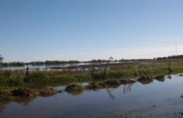 Nuevamente en alerta por el avance del río Rojas