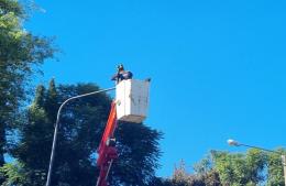 Barrio Belgrano ya cuenta con iluminación LED completa