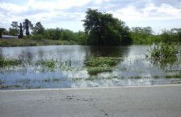 El agua ya llega al borde la Ruta 188