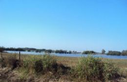 Las aguas bajaron en Santa Teresa