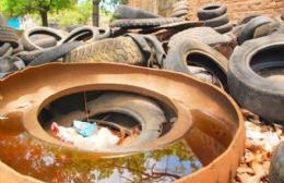 Santiago advirtió que “el agua estancada y las altas temperaturas facilitan la transmisión del dengue”