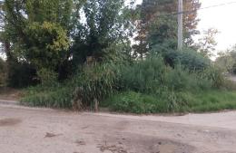 Vecinos piden por limpieza de terrenos