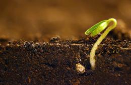 Está en marcha el Taller de Jardinería y Huerta