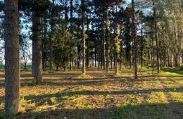 Preservación de espacios naturales