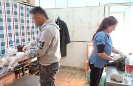 Jornada de sanidad animal en Carabelas