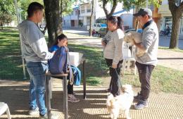 Se realizó una jornada gratuita de vacunación antirrábica para perros y gatos en la Plaza Moreno
