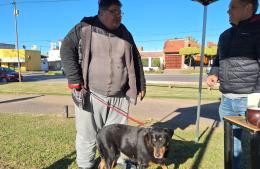 Nuevas jornadas gratuitas de vacunación antirrábica de mascotas
