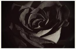 Juana Angélica Acosta viuda de Blázquez (China)