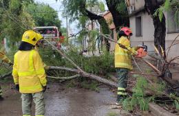 Información del Municipio sobre el impacto de la tormenta