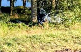 Despiste en la Ruta 188