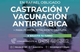 Castración y vacunación antirrábica en Rafael Obligado