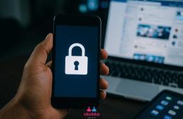 Cómo las plataformas protegen la información de sus usuarios